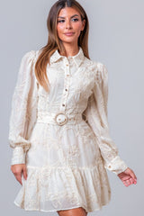 Aurora Gold Embroidered Mini Dress