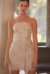 Bailey Strapless Mini Dress