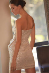 Bailey Strapless Mini Dress