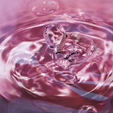 Signature Collection Eau De Parfum