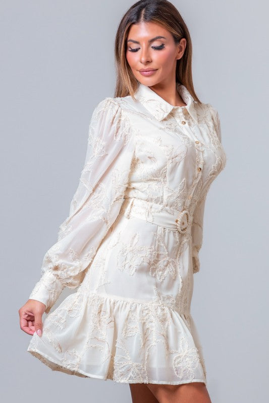 Aurora Gold Embroidered Mini Dress