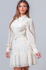 Aurora Gold Embroidered Mini Dress