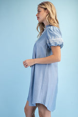 Isabella V-neck Mini Dress