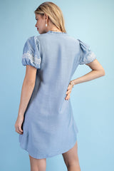 Isabella V-neck Mini Dress