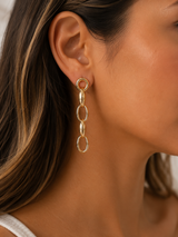 Link Earrings