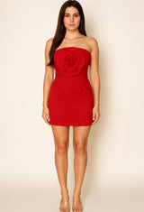 Liz Rossette Mini Dress