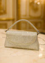 Shimmer Evening Bag