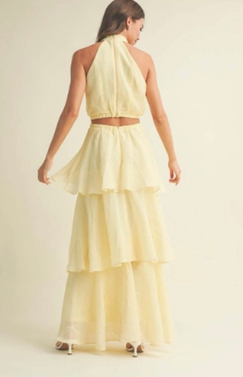 Ariana Maxi Skirt Set