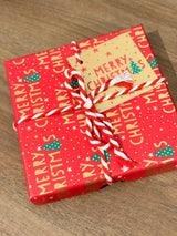 Chistmas Gift Card Box