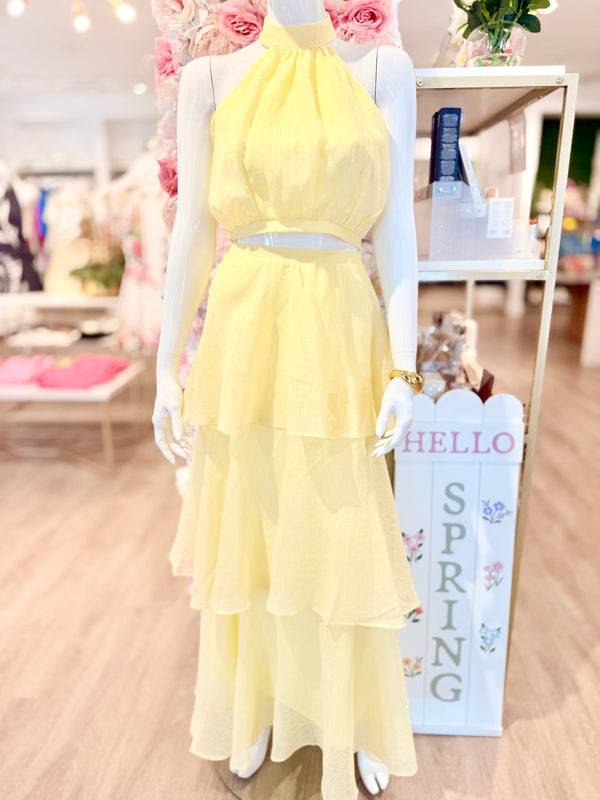 Ariana Maxi Skirt Set