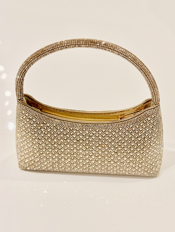 Luxe Radiance Handle Bag